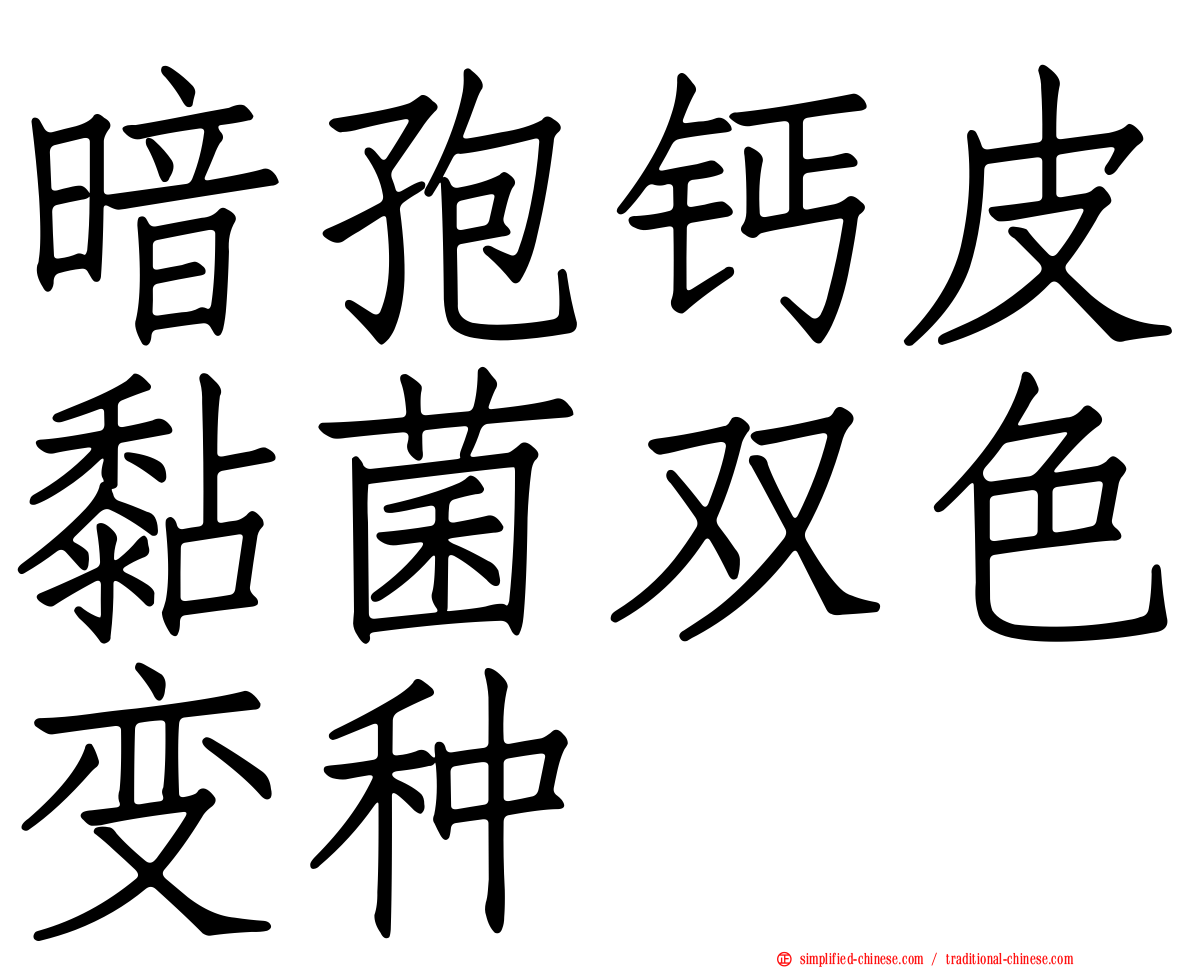暗孢钙皮黏菌双色变种