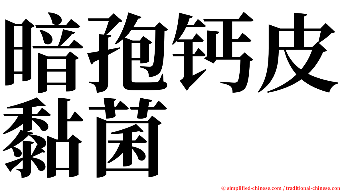 暗孢钙皮黏菌 serif font