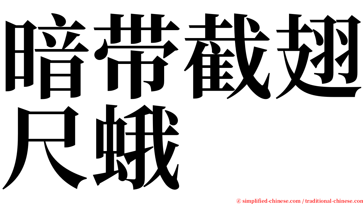 暗带截翅尺蛾 serif font