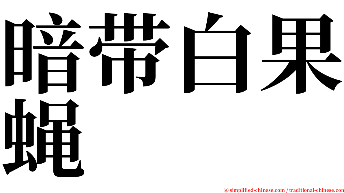 暗带白果蝇 serif font