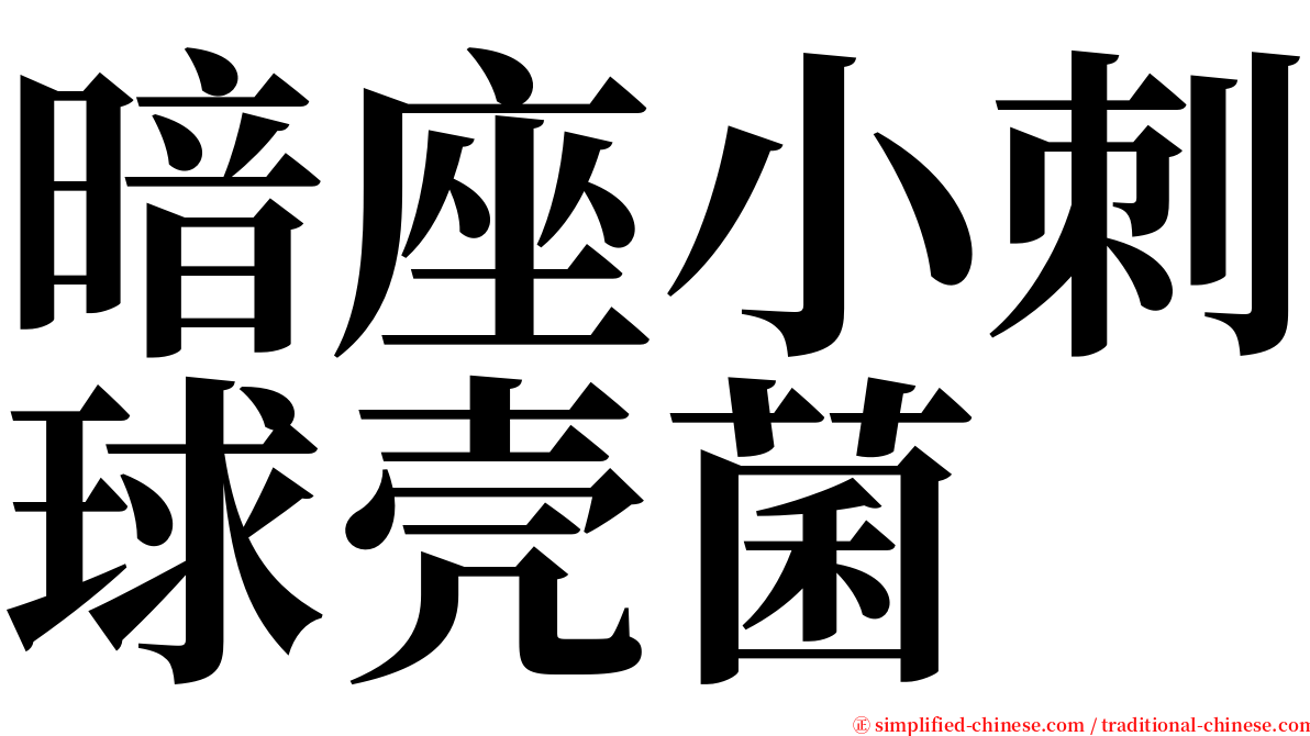 暗座小刺球壳菌 serif font