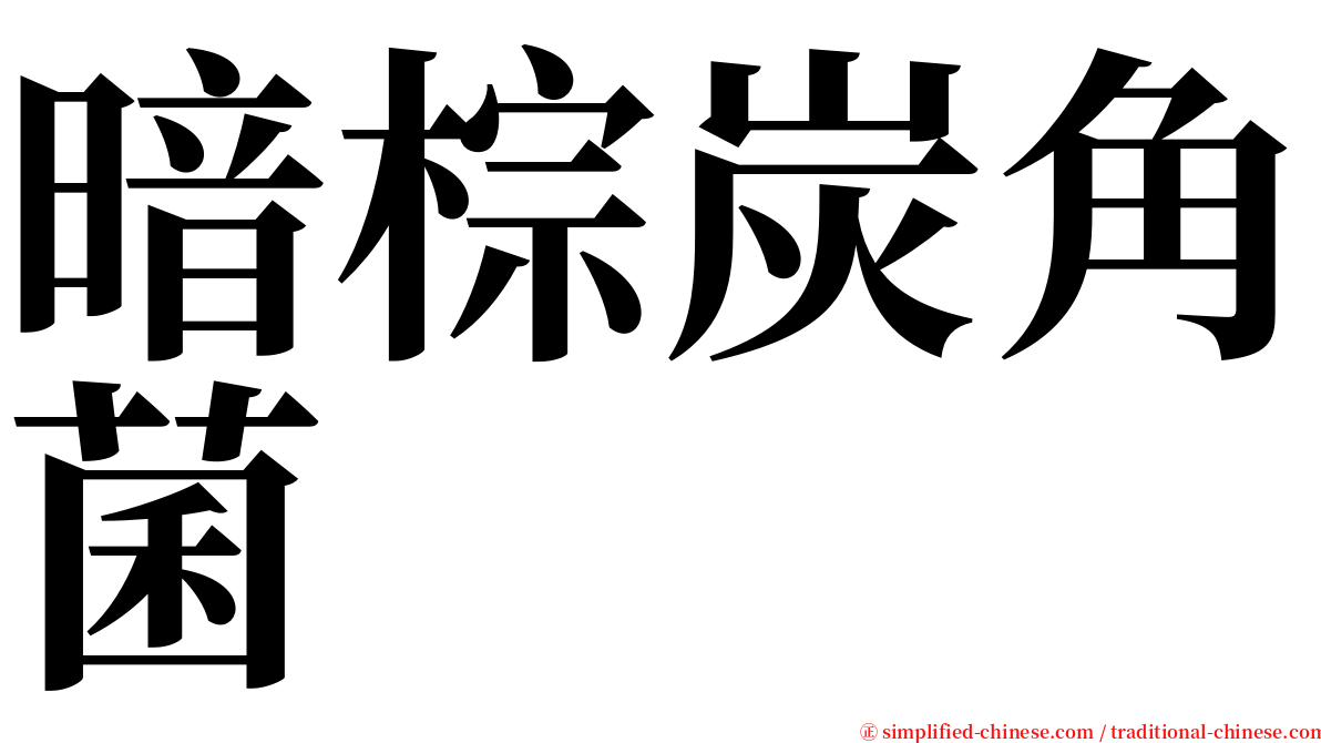 暗棕炭角菌 serif font