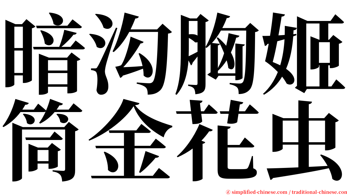 暗沟胸姬筒金花虫 serif font