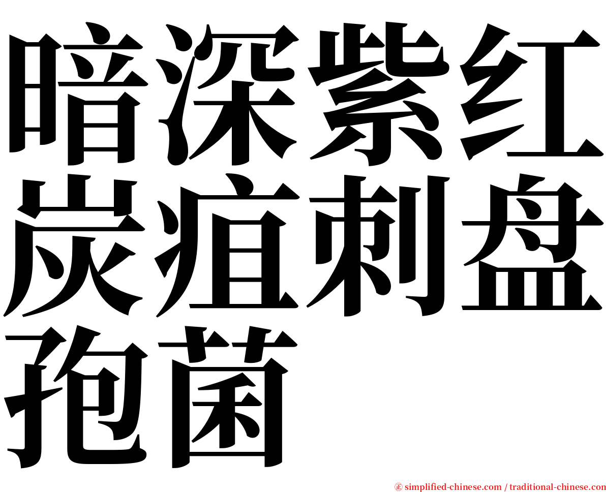 暗深紫红炭疽刺盘孢菌 serif font