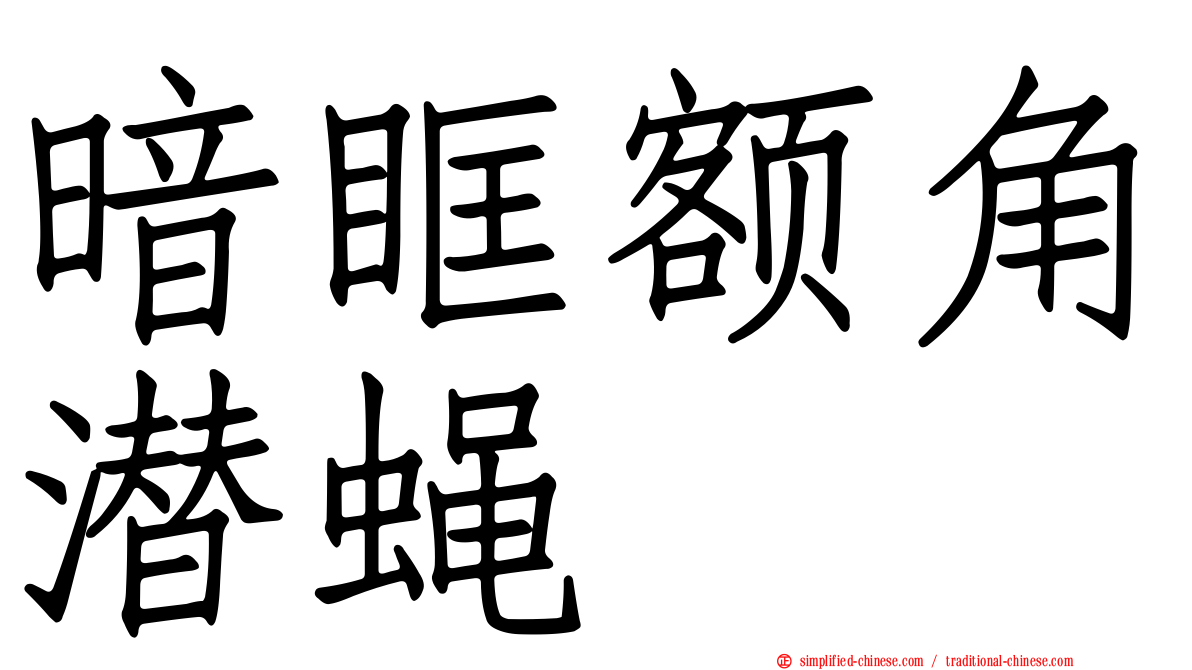 暗眶额角潜蝇