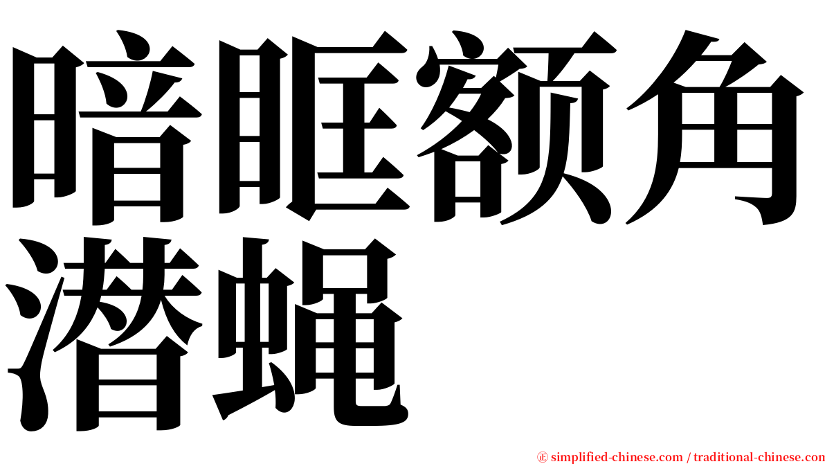 暗眶额角潜蝇 serif font