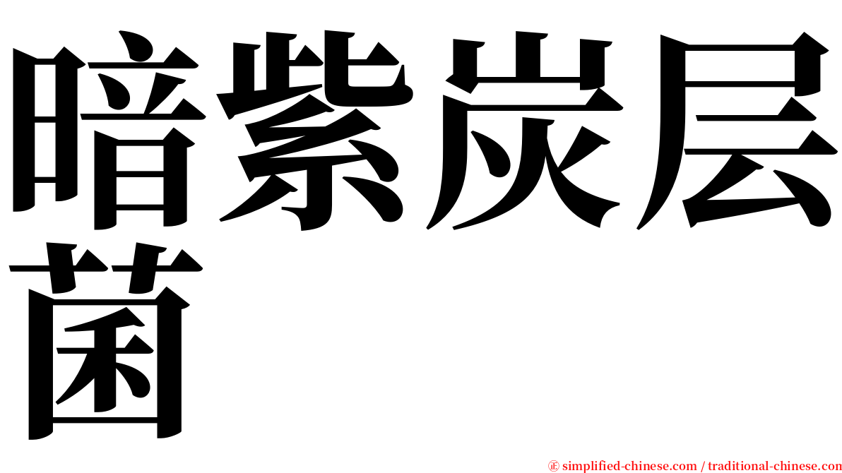 暗紫炭层菌 serif font