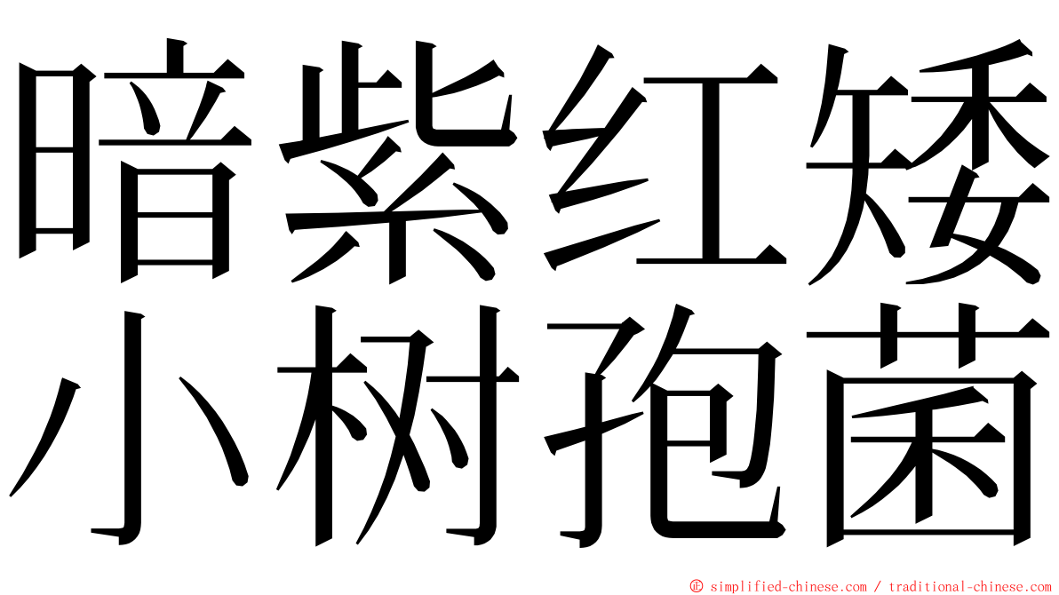 暗紫红矮小树孢菌 ming font