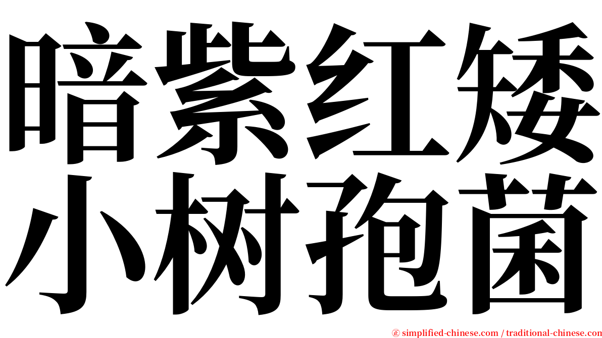 暗紫红矮小树孢菌 serif font