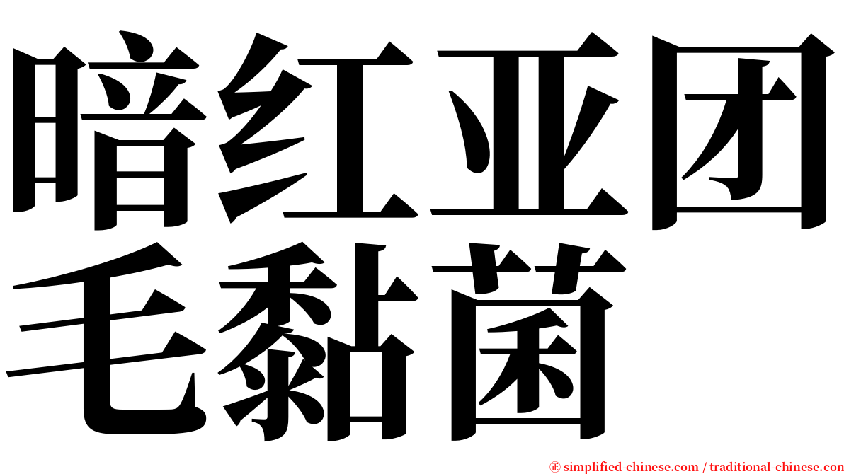 暗红亚团毛黏菌 serif font