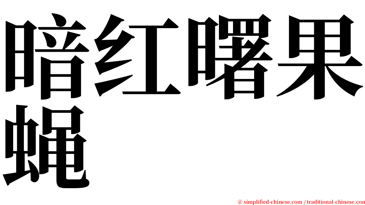 暗红曙果蝇 serif font