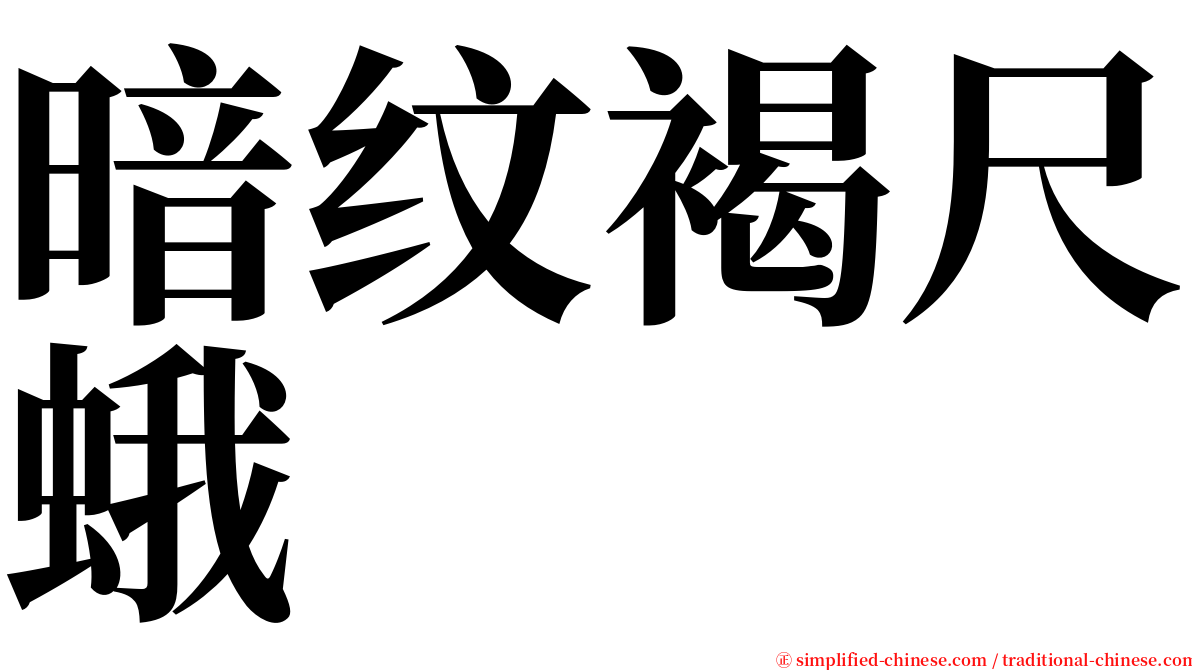 暗纹褐尺蛾 serif font