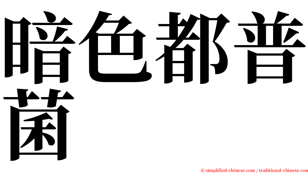 暗色都普菌 serif font