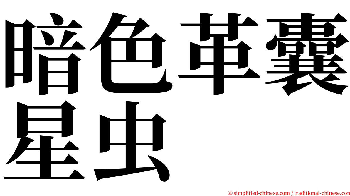 暗色革囊星虫 serif font