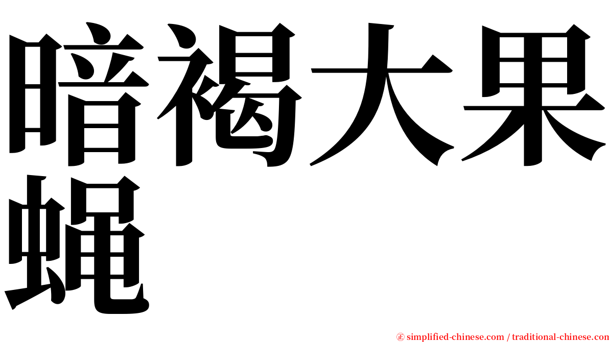 暗褐大果蝇 serif font