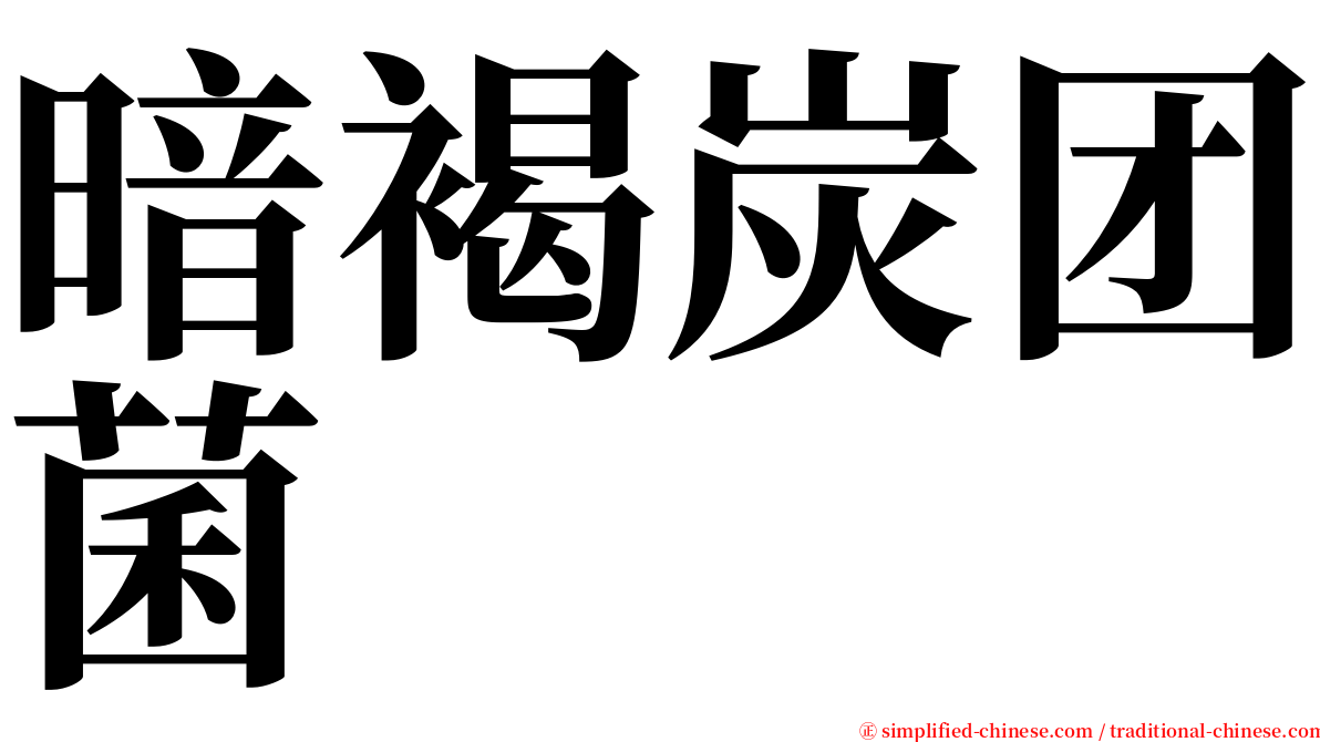 暗褐炭团菌 serif font