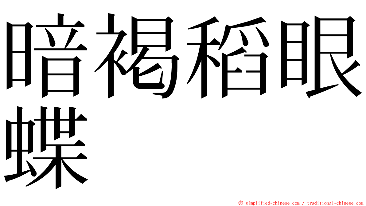 暗褐稻眼蝶 ming font