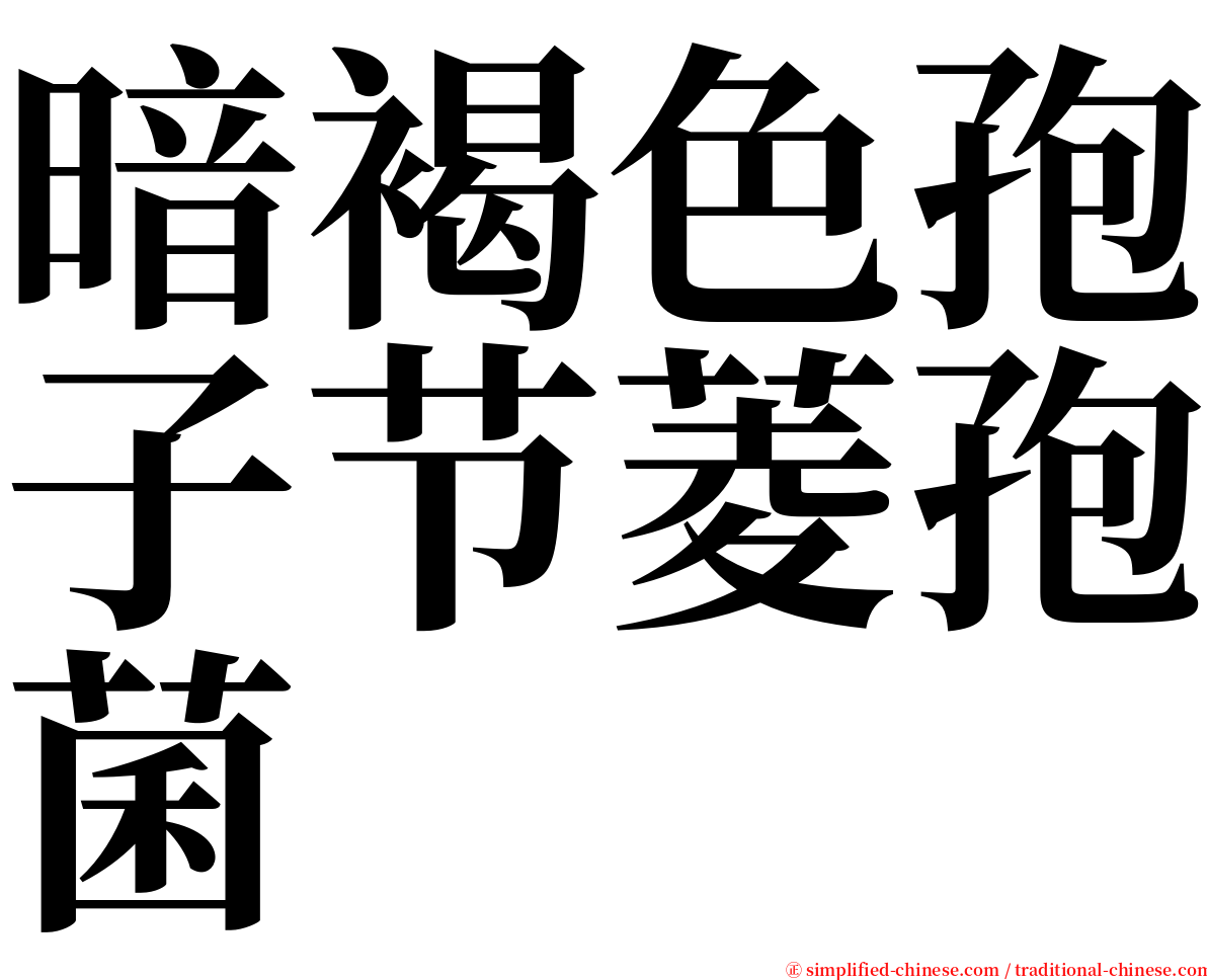 暗褐色孢子节菱孢菌 serif font