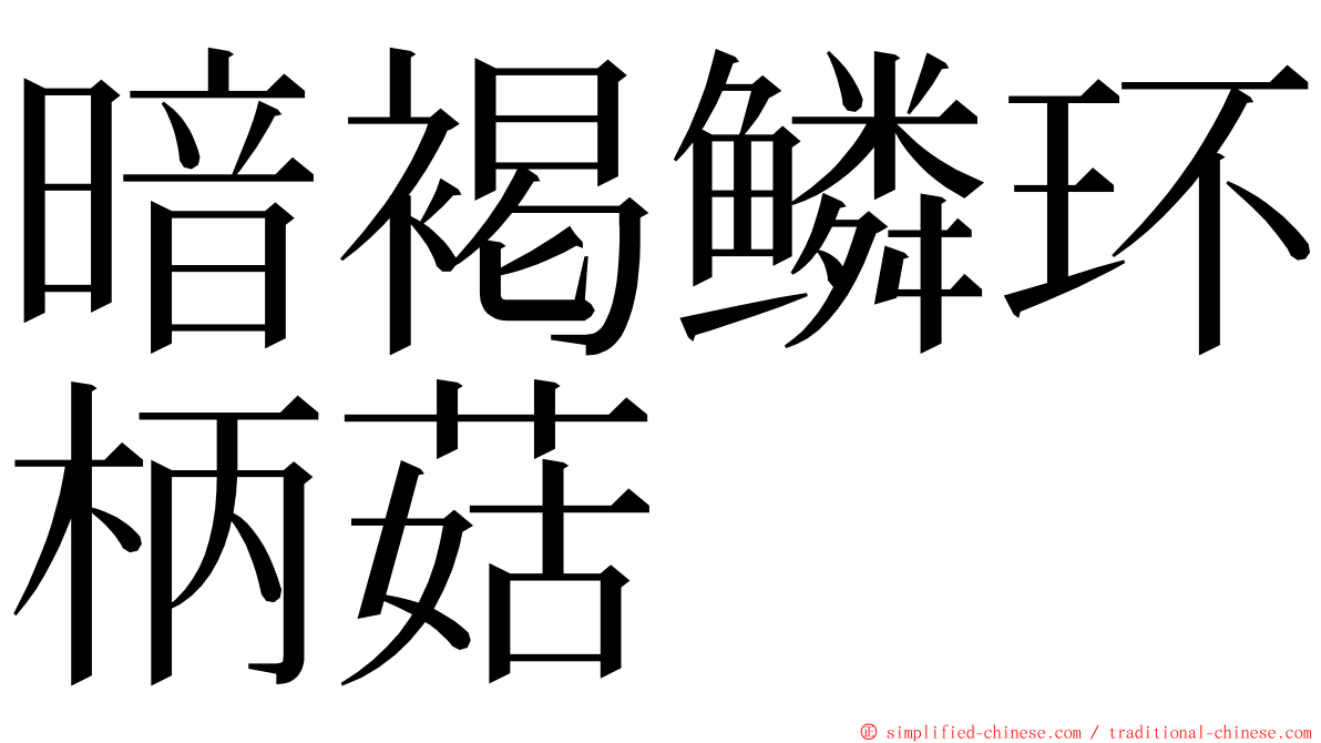 暗褐鳞环柄菇 ming font