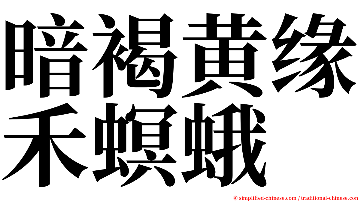 暗褐黄缘禾螟蛾 serif font