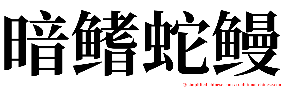 暗鳍蛇鳗 serif font