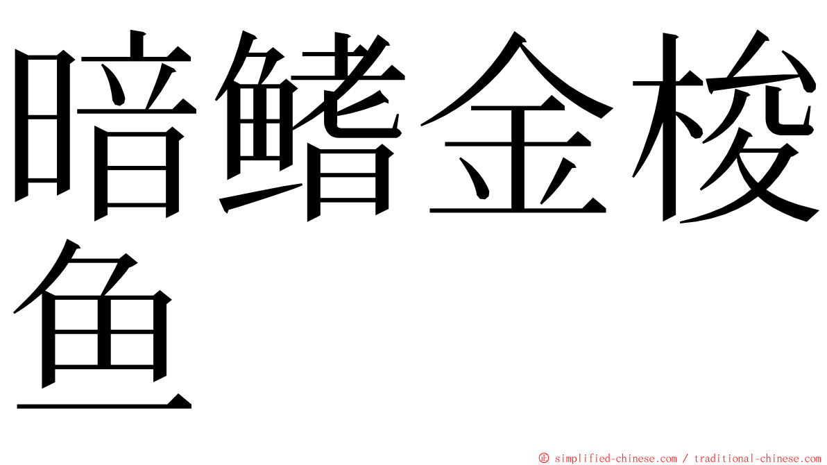 暗鳍金梭鱼 ming font