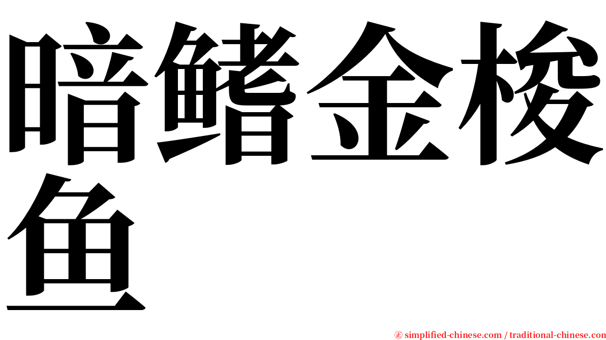 暗鳍金梭鱼 serif font