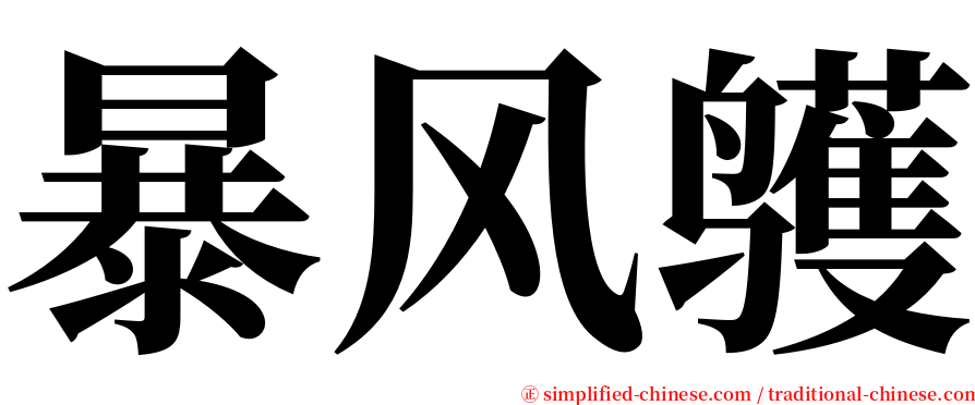 暴风鹱 serif font