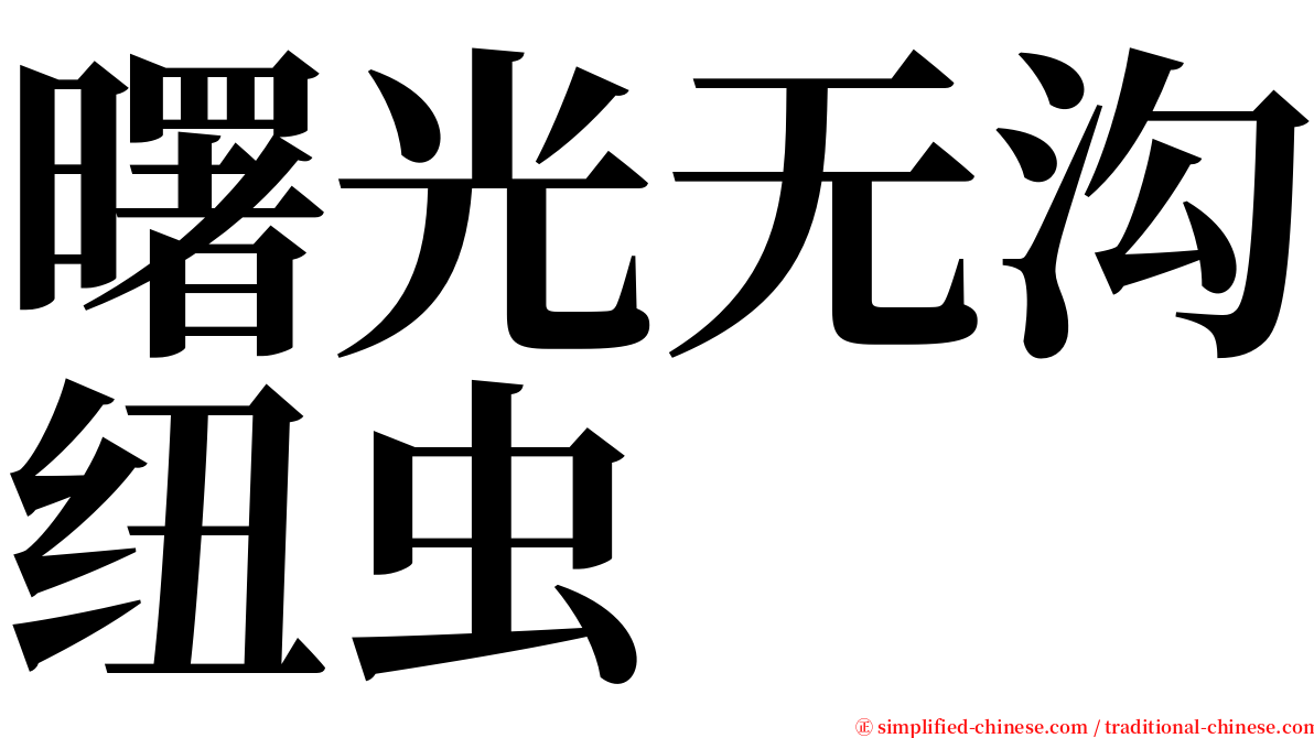 曙光无沟纽虫 serif font