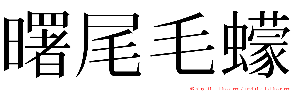 曙尾毛蠓 ming font