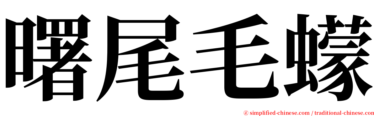 曙尾毛蠓 serif font