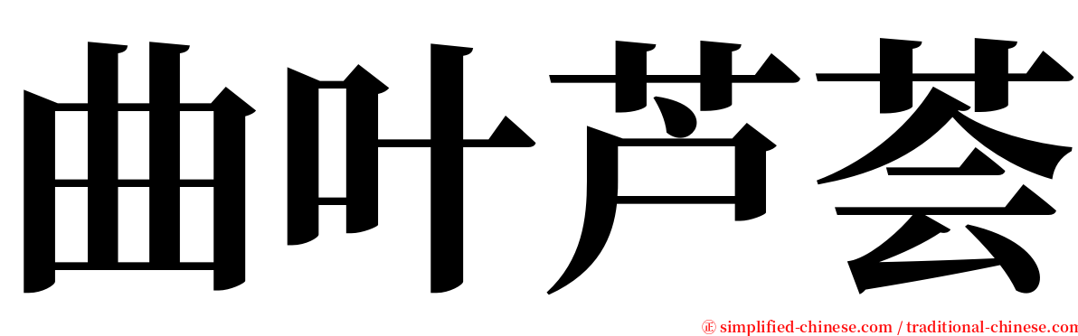 曲叶芦荟 serif font