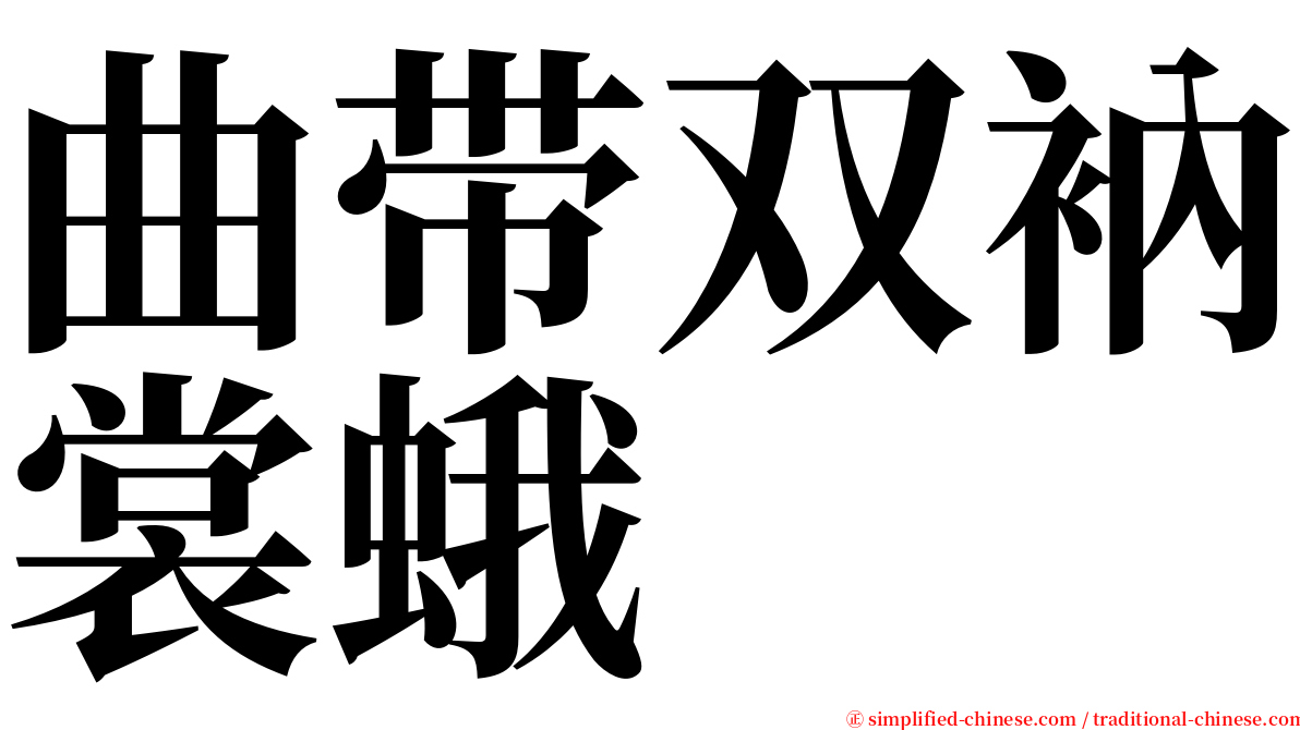 曲带双衲裳蛾 serif font