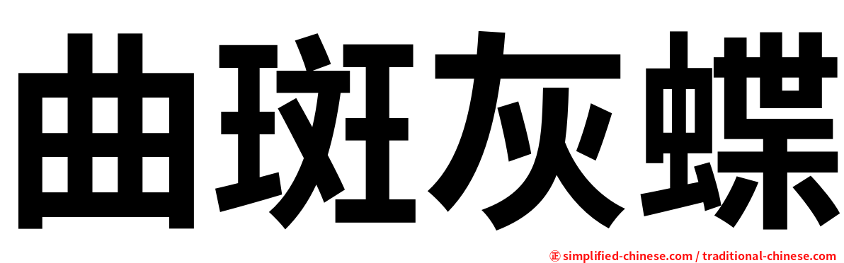 曲斑灰蝶