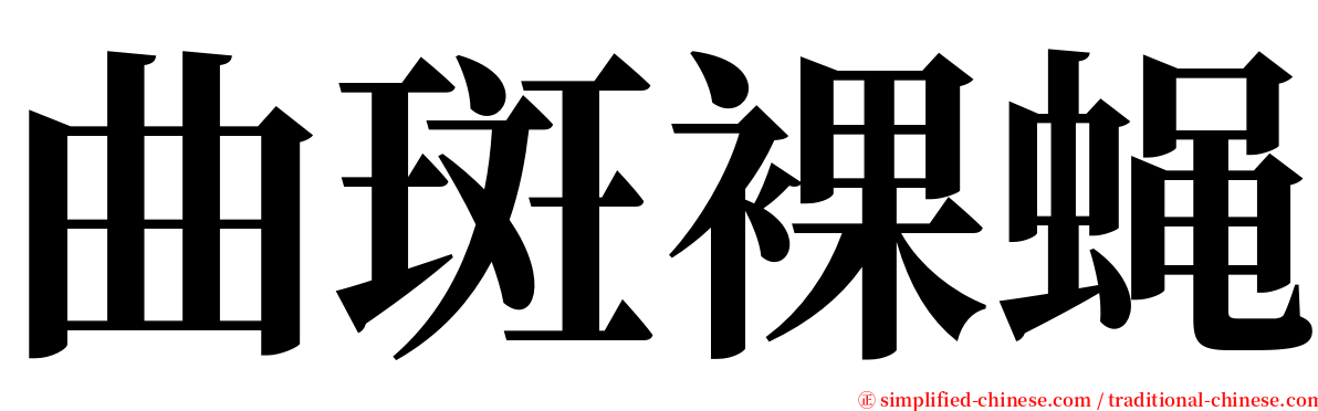 曲斑裸蝇 serif font