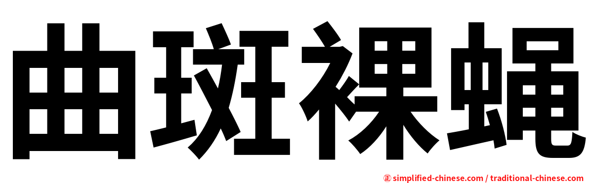 曲斑裸蝇