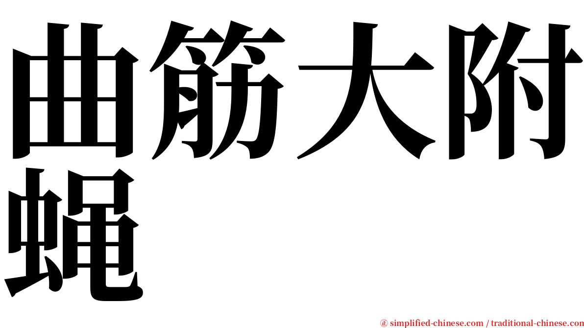 曲筋大附蝇 serif font