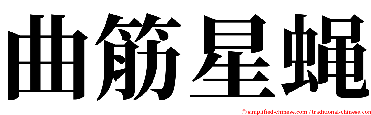 曲筋星蝇 serif font