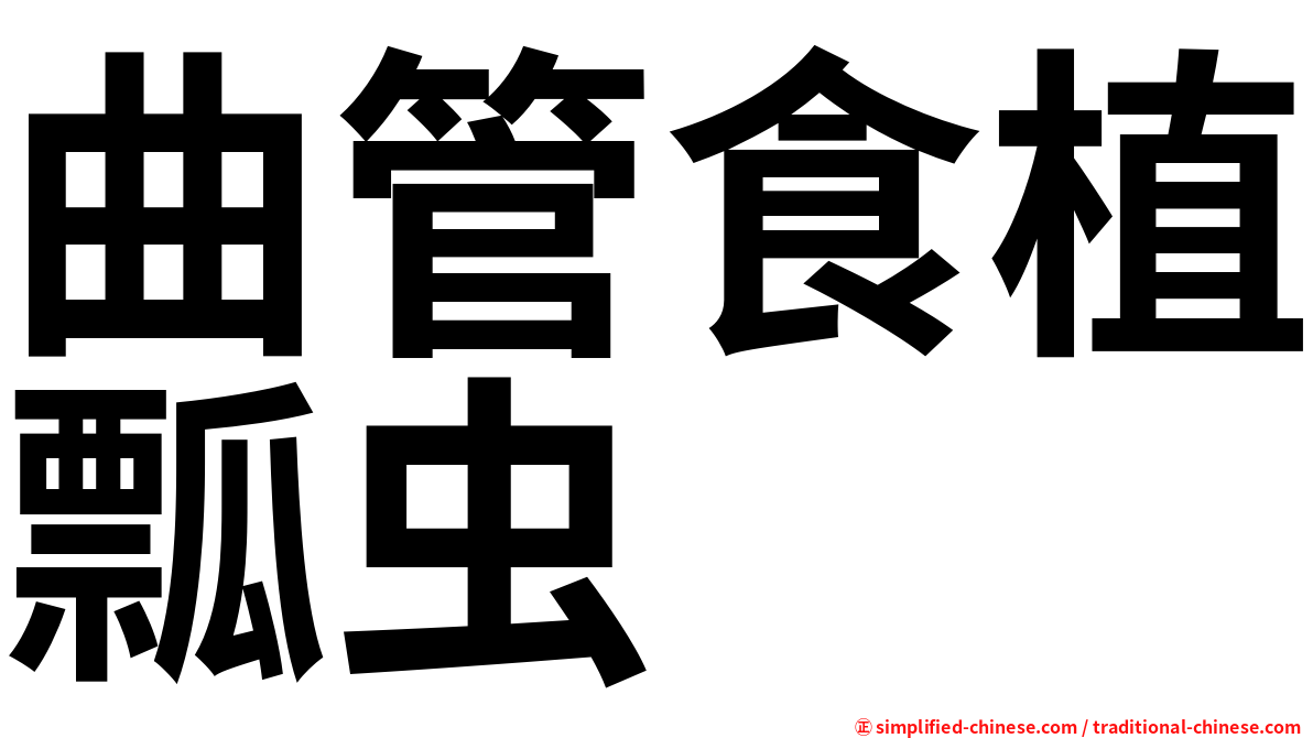 曲管食植瓢虫