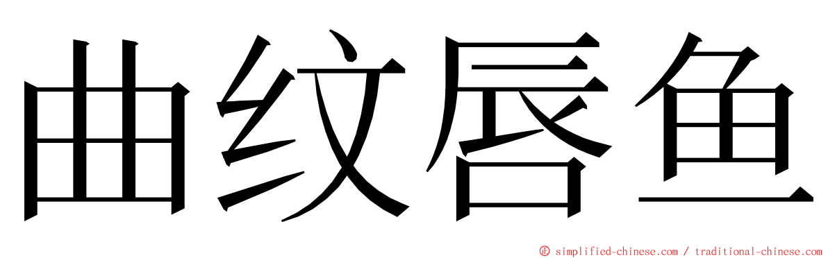 曲纹唇鱼 ming font
