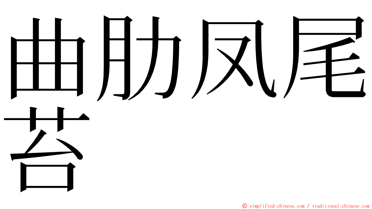 曲肋凤尾苔 ming font