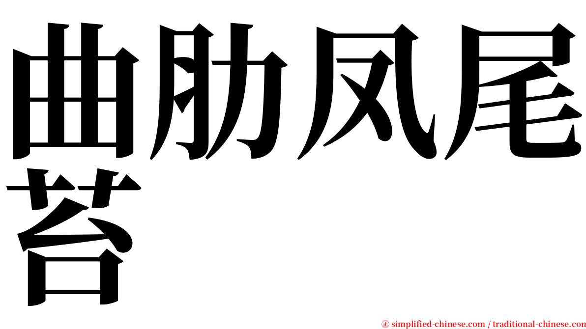 曲肋凤尾苔 serif font