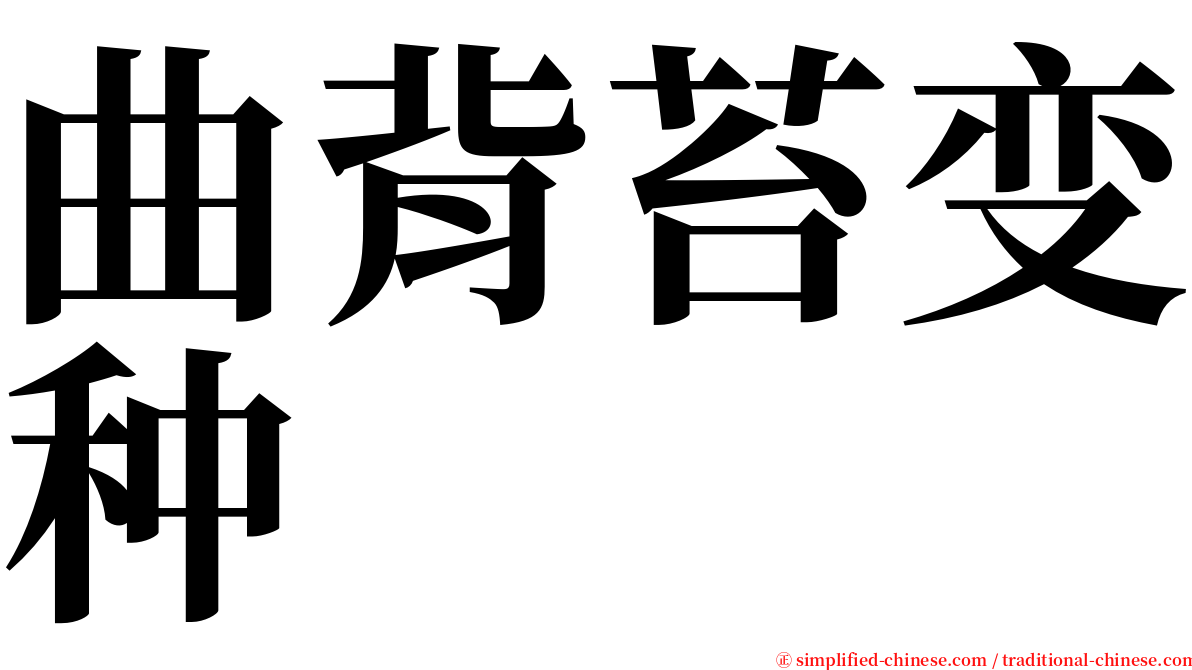 曲背苔变种 serif font