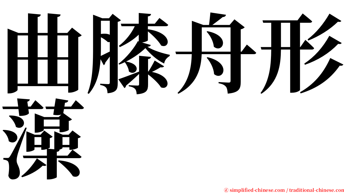 曲膝舟形藻 serif font