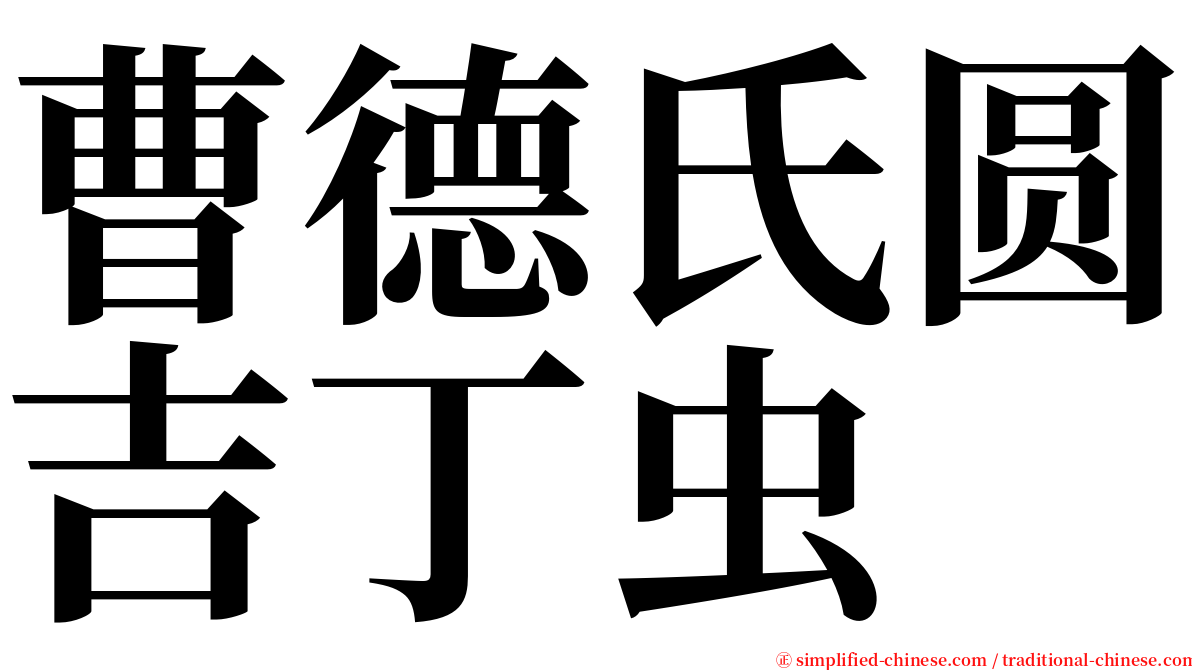 曹德氏圆吉丁虫 serif font