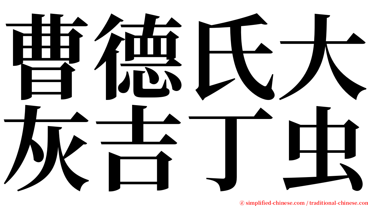 曹德氏大灰吉丁虫 serif font