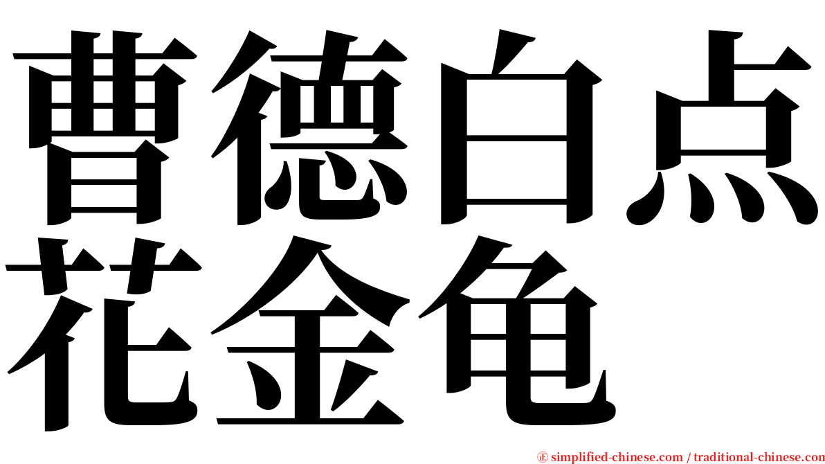 曹德白点花金龟 serif font