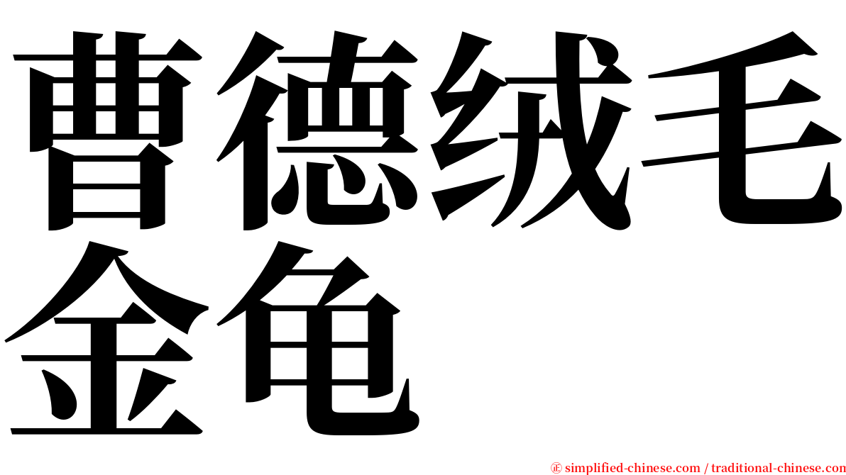 曹德绒毛金龟 serif font