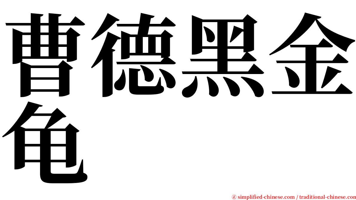 曹德黑金龟 serif font