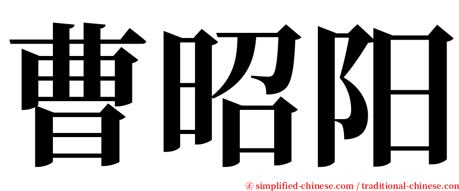 曹昭阳 serif font